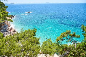 Beaches of Hvar, Croatia; turquoise waters, green pine trees and rocks                             ...