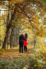 Fototapeta premium Beautiful couple in the autumn forest