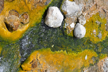 Panamic Hot Sulphur Springs, Nubra Valley, Jammu and Kashmir, India