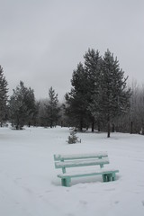 bench in winter park