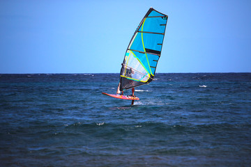 Windsurfer using a foilboard causing the board to leave the surface of the water (El Medano, Spain)