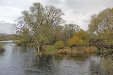 Obraz premium Flusslandschaft im November