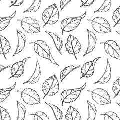 Hand drawn leaves pattern. Vector seamless pattern of leaves. Eps 10 vector.