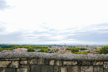 Wild pigeon on the medieval wall of Avignon. On the horizon are orange tiled roofs of the old town....