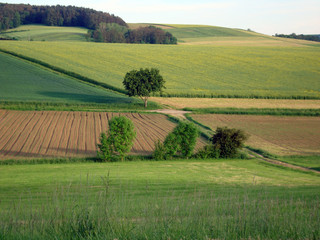 Fr&auml;nkische Landschaft