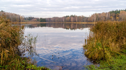 Zalew Czapielówka w Czarnej Białostockiej, Puszcza Knyszyńska, Polska złota jesień, Podlasie