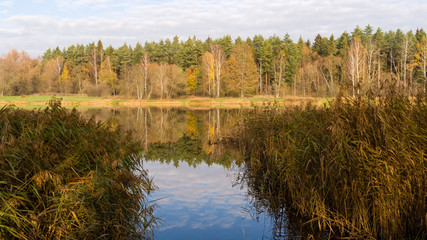 Zalew Czapielówka w Czarnej Białostockiej, Puszcza Knyszyńska, Polska złota jesień, Podlasie