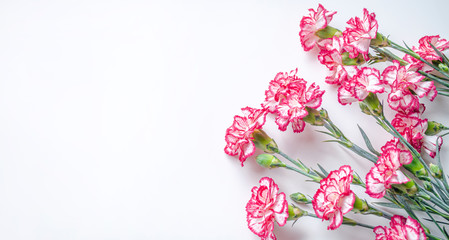 bouquet of flowers on white background