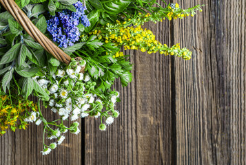 Variety of herbs, fresh garden herb on wooden table