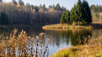 Zalew Czapielówka w Czarnej Białostockiej, Puszcza Knyszyńska, Polska złota jesień, Podlasie