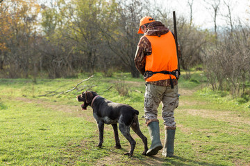 Hunting period, autumn season open. A hunter with a gun in his hands in hunting clothes in the autumn forest in search of a trophy. A man stands with weapons and hunting dogs tracking down the game.	