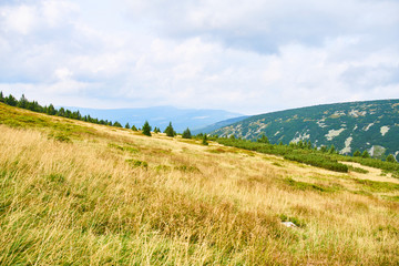 Hiking in Krkonose Mountains near Spindleruv Mlyn                             