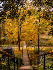 Naklejka premium Autumn foliage. Autumn alley. Moscow region. Autumn nature.
