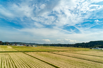 Fototapeta na wymiar View of paddy field that has finished harvesting rice in Iwate prefecture, JAPAN.