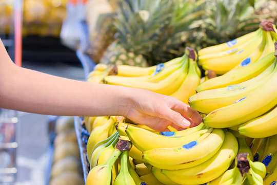 Female hand choosing bananas in supermarket. Concept of healthy food, bio, vegetarian, diet.