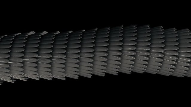 Horisonatal 3D tube formed by silver feathers glowing and flowing on black background, seamless loop. Animation. Abstract long figure with oval shaped feathers.