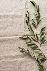 Bouquet of fresh olive tree branches on an old vintage gray napkin tablecloth table background....