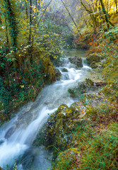 Monte Tancia (Rieti, Italy) - The suggestive waterfalls of torrent Galantina in the Appennini mountains, named Pozze del Diavolo, during the autumn with foliage