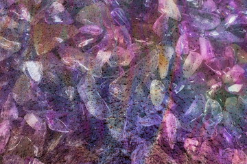 Abstract multi exposure small crystals amethysts and a puddle of gasoline with water on the asphalt