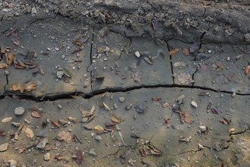 gray texture of dry earth with a crack on the road