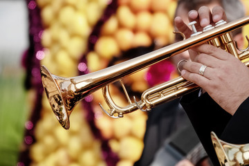 photo of brass wind instruments