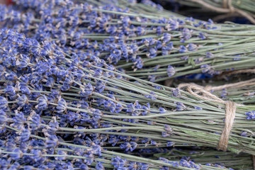 bunch of lavender in store of flowers