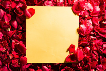Creative background of red rose petals, with a yellow square. Blank for pattern