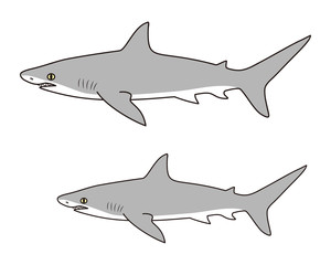 Fototapeta premium 鮫 キャラクター ベクター イラスト