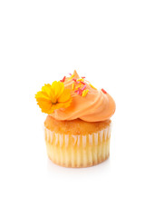 mini cup cakes decorated with whipped cream and sugar sparkles
