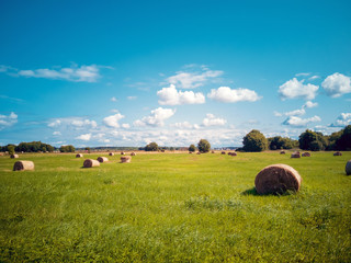 Field of hay bale