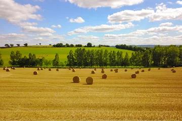 Foto op Canvas Graanveld na oogst in de zomer © Robert Kneschke