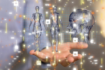 medical network connection with modern virtual screen, medical technology network concept.