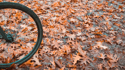 Mit dem Fahrrad ist es im Herbst auf dem Radwege sehr rutschig 