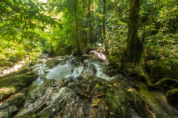 Kathu Waterfall in the tropical forest area In Asia, suitable for walks, nature walks and hiking, adventure photography Of the national park Phuket Thailand,Suitable for travel and leisure.