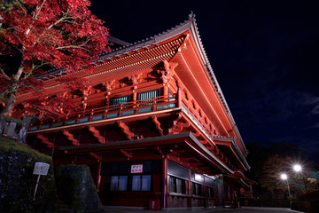 ライトアップ日光2019　日光山輪王寺　大護摩堂