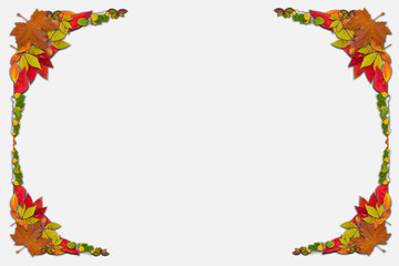 Autumn concept of natural ecology background. Flat view of the top. Suitable for Thanksgiving, Christmas, etc. Merry Christmas greetings with blank space for holiday text