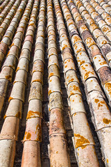 Fototapeta premium Old tile roof with red tiles