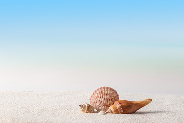 beach background, summer background concept