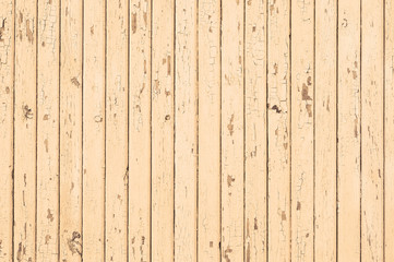 Pale yellow wood planks texture or background