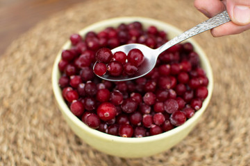 Eating berries, female hands taking juisy cranberry from big bowl by metal spoon, rustic lifestyle