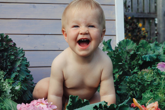 little baby sitting in the cabbage
