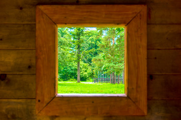 View from a small window on the green forest