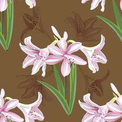 Hippeastrum flower seamless pattern vector illustration