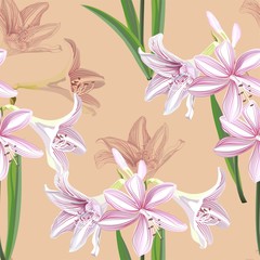 Hippeastrum flower seamless pattern vector illustration