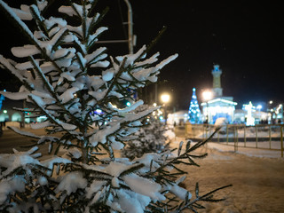 Branches ate covered with fluffy snow on a city street on a winter night. Festive symbol of the New Year and Christmas.