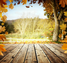 Naklejka na ściany i meble Autumn leaves and wooden table background