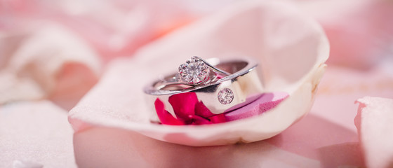 Wedding rings on ..Rose petals