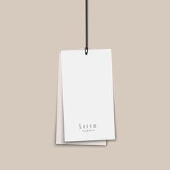 Two blank paper price tags mock up with string isolated on transparent background. 