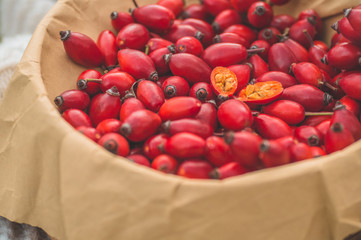 Freshly picked rose hips. Rose hip commonly known as the dog rose 