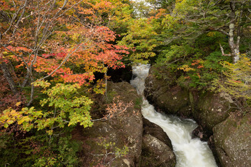 秋の滝の風景